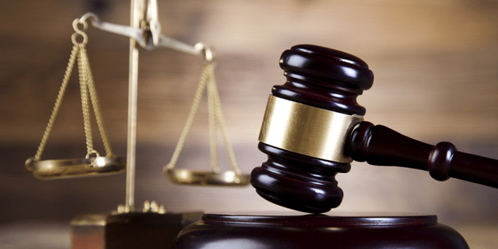 Legal-Activities Legal Activities